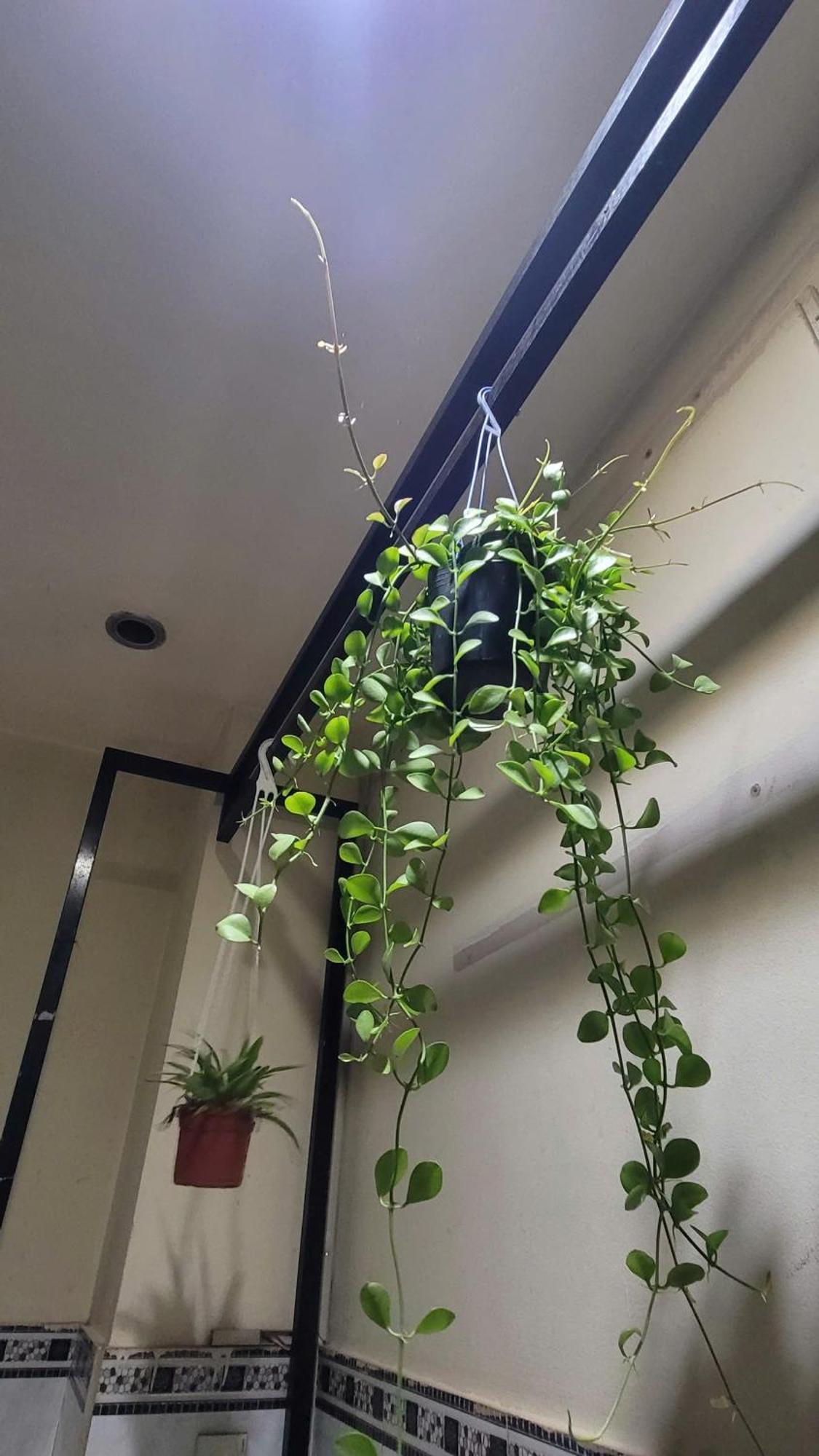 Homestay Fairy'S House Ciudad Ho Chi Minh  Exterior foto