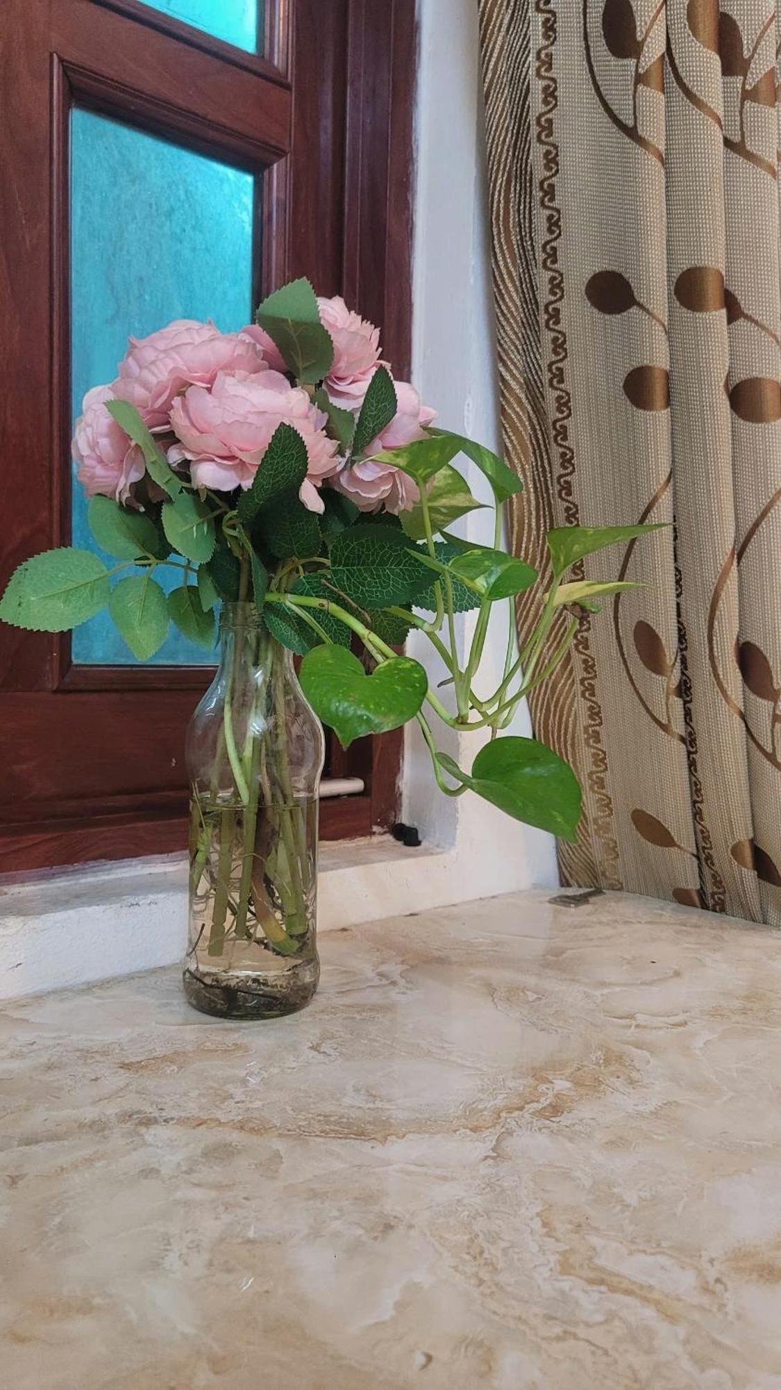 Homestay Fairy'S House Ciudad Ho Chi Minh  Exterior foto